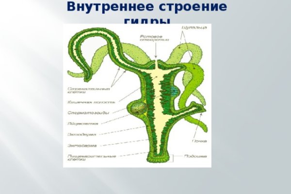 Кракен маркетплейс ссылка krakenat2krnkrnk com