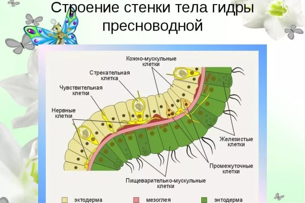 Кракен даркнет зайти