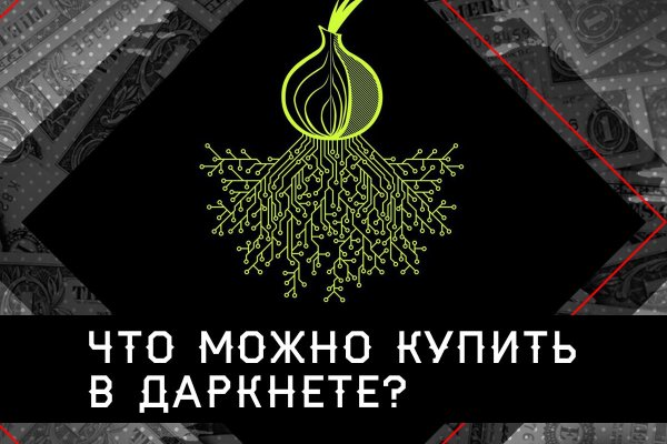 Ссылка кракен сегодня