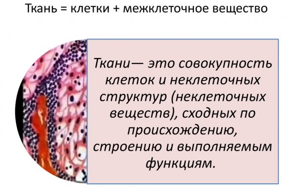 Kraken вход и ссылки