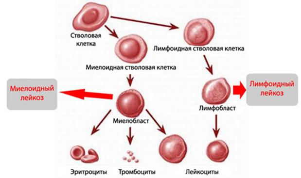 Как пополнять кракен тор
