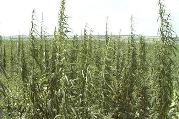 Кракен ссылка что это