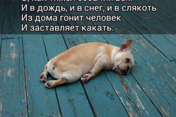 Кракен лег