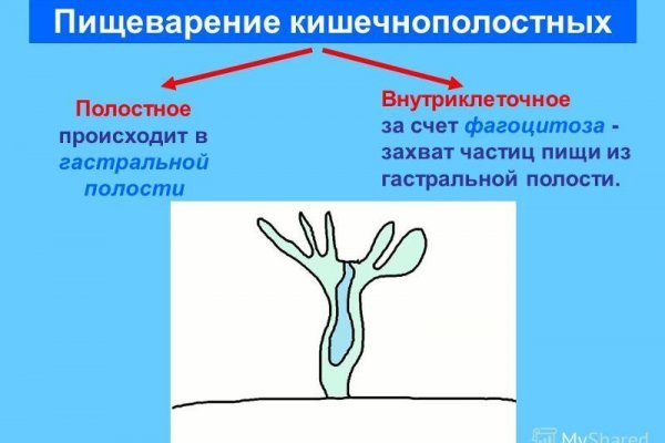 Kra38.cc Вход на сайт главная страница