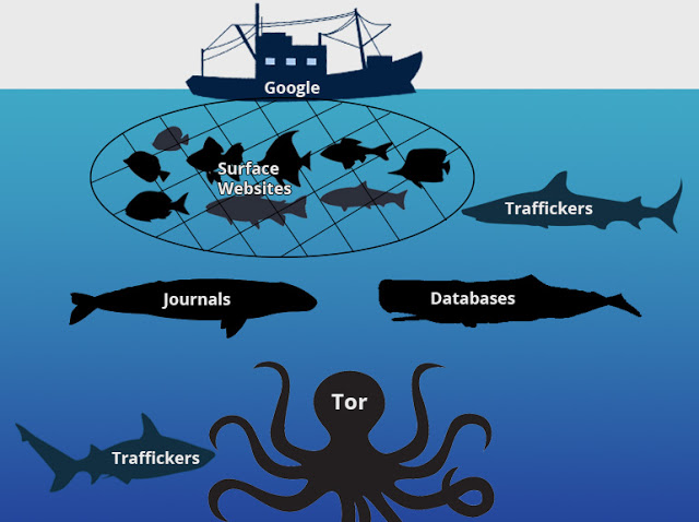 Kraken 19at