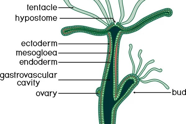 Kraken актуальное